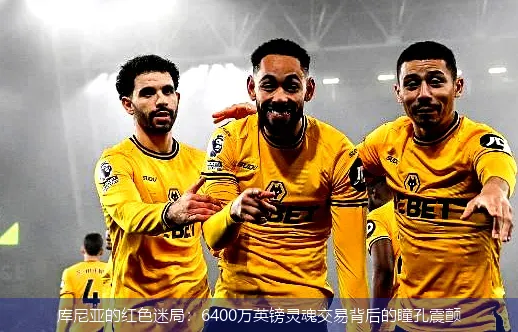 库尼亚的红色迷局：6400万英镑灵魂交易背后的瞳孔震颤