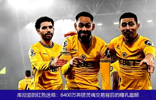 库尼亚的红色迷局：6400万英镑灵魂交易背后的瞳孔震颤